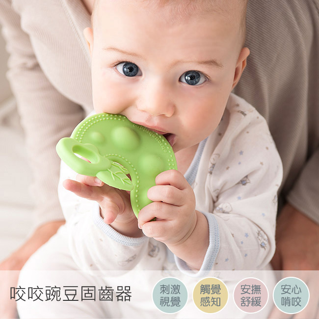 PUP 咬咬豌豆固齒器